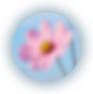 terapia psicologica individual