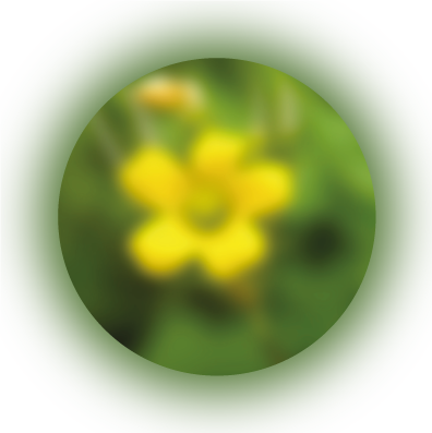 terapia psicologica para niños y adolecentes